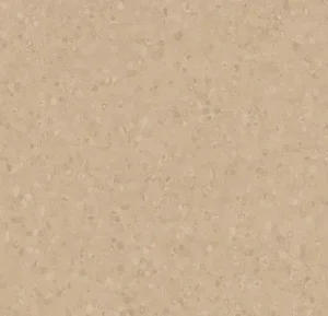 50024 stone