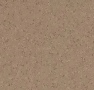 50025 earth