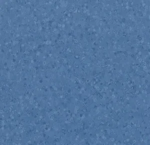 50038 blueberry