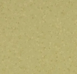 50065 moss