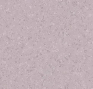 50070 soft violet
