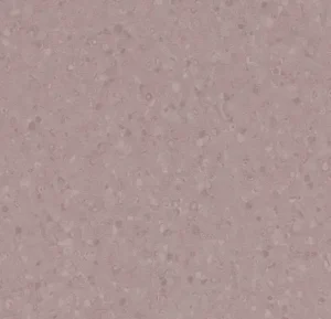 50071 violet