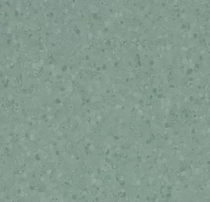 50077 kelp
