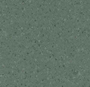 50078 dark kelp