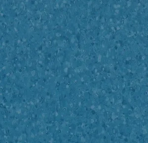 50081 ocean