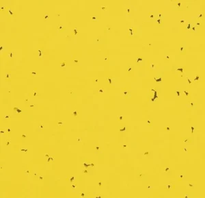 50201 yellow