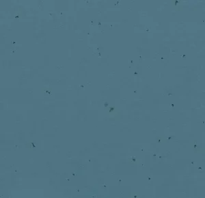 50204 deep sea