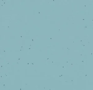 50217 mystic blue