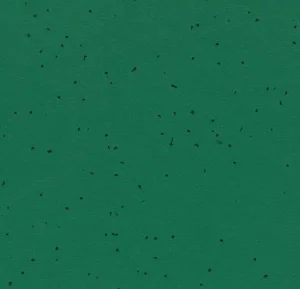 50242 malachite