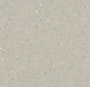 50484 coquina