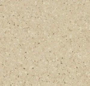 50504 biscuit