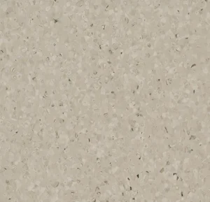 50525 canvas