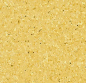 50528 sunlight