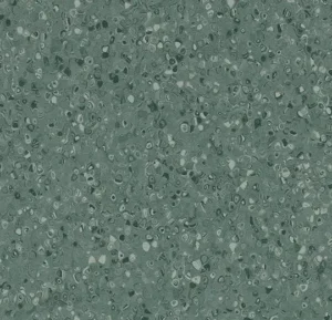 51078 Contrast kelp
