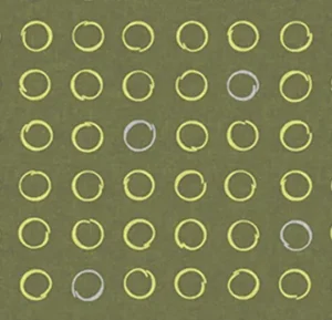 530028E Spin Lichen