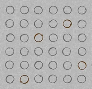 530036E Spin Latte