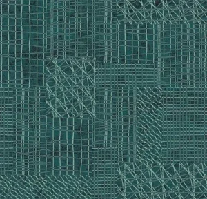 560001E Network Carbon