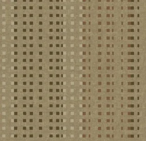 580025E Trace Desert