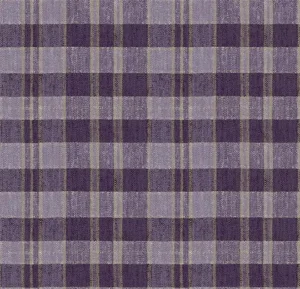 590013E Plaid Berry