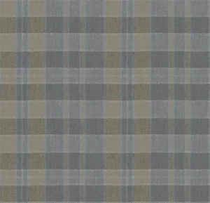 590018E Plaid Steam