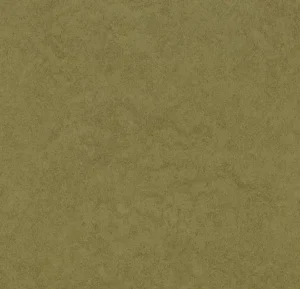 68722 olive