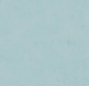7607P4319 nuance sky