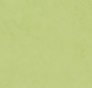 7608P4319 nuance pistachio