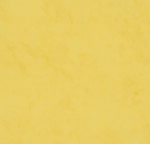 7615P4319 nuance daffodil