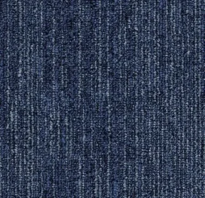 876 celestial