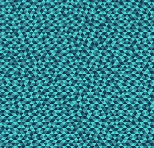 890002E Facet Lake