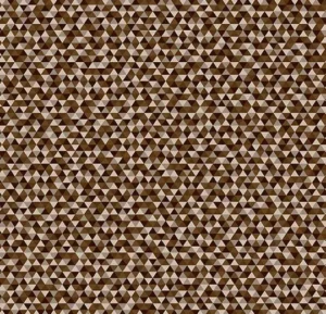890009E Facet Lunar