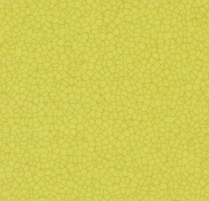 90758T4315 citrus halo contour
