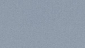 Chambray DENIM