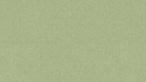 Chambray GREEN