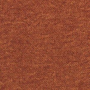 Essence 530 AB05 5012