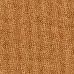 Essence 530 AB05 5420