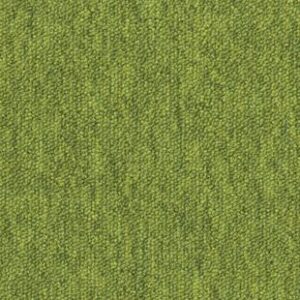 Essence 530 AB05 6408
