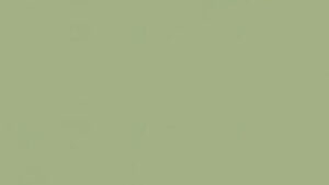 Etrusco OLIVE 055