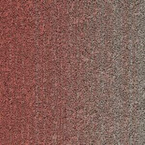 Fuse B755 1915