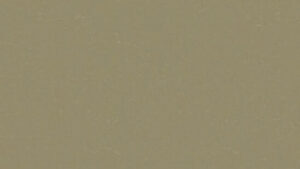 Originale LICHEN 495