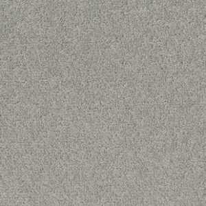 Palatino A072 1318