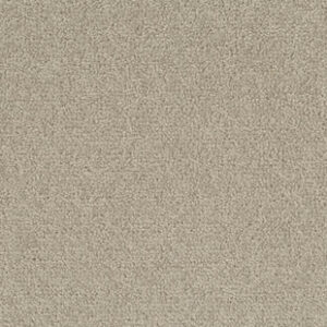 Palatino A072 1510