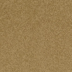 Palatino A072 2036