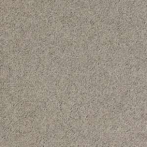 Palatino A072 2923