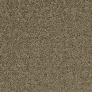 Palatino A072 2929