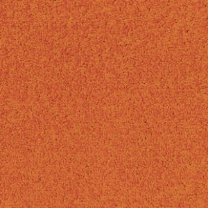 Palatino A072 5206