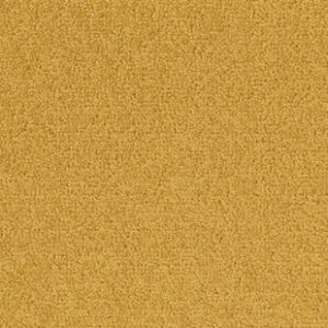 Palatino A072 6016