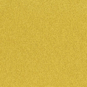 Palatino A072 6208