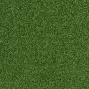 Palatino A072 7121