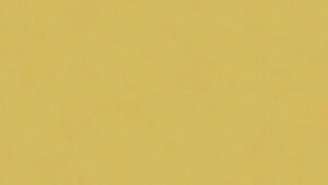 Patine SOLID YELLOW